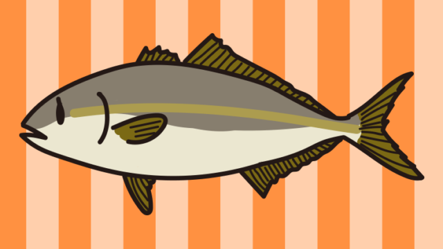 カンパチのイラスト【色、背景あり】PNG