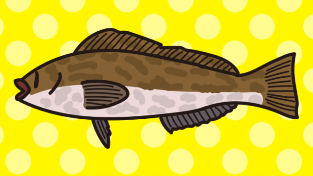 アイナメのイラスト【色、背景あり】PNG