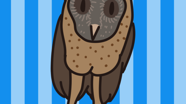 ススガオメンフクロウのイラスト【色、背景あり】PNG