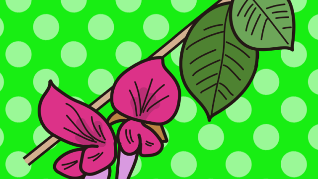 秋の七草・萩（はぎ）のイラスト【色、背景あり】PNG