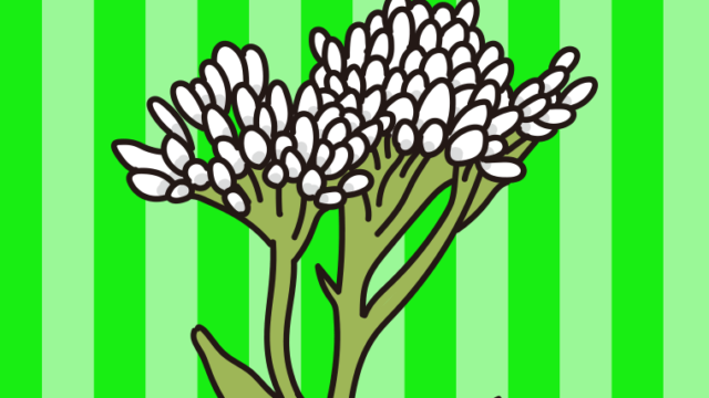 秋の七草・藤袴（ふじばかま）のイラスト【色、背景あり】PNG