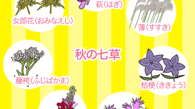 秋の七草のイラスト【色、背景あり】PNG