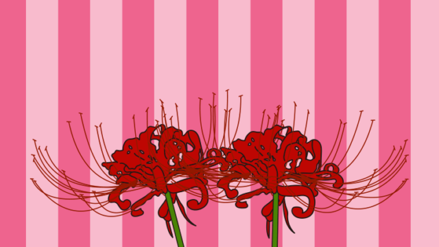 彼岸花のイラスト【色、背景あり】PNG