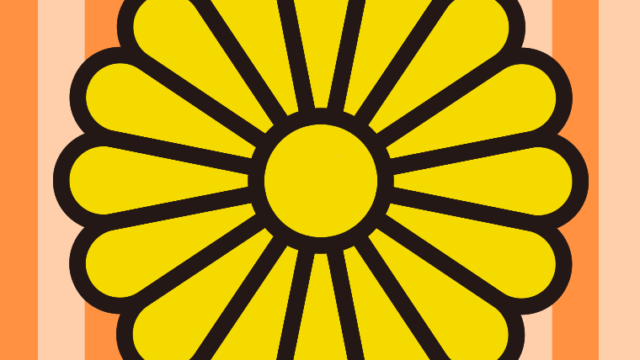 菊のイラスト【色、背景あり】PNG