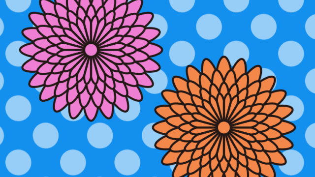 ダリアのイラスト【色、背景あり】PNG