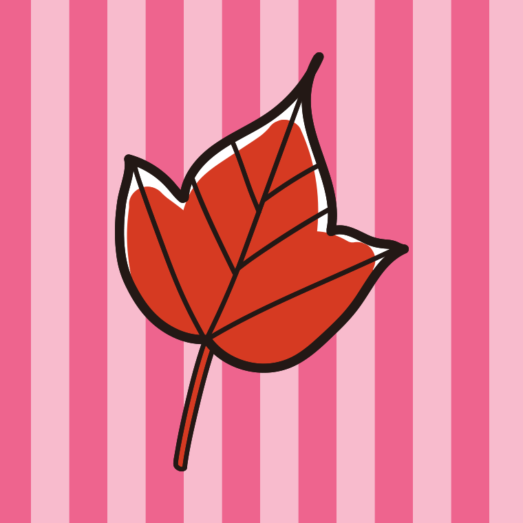 紅葉（シマウリカエデの葉）のイラスト【色、背景あり】PNG