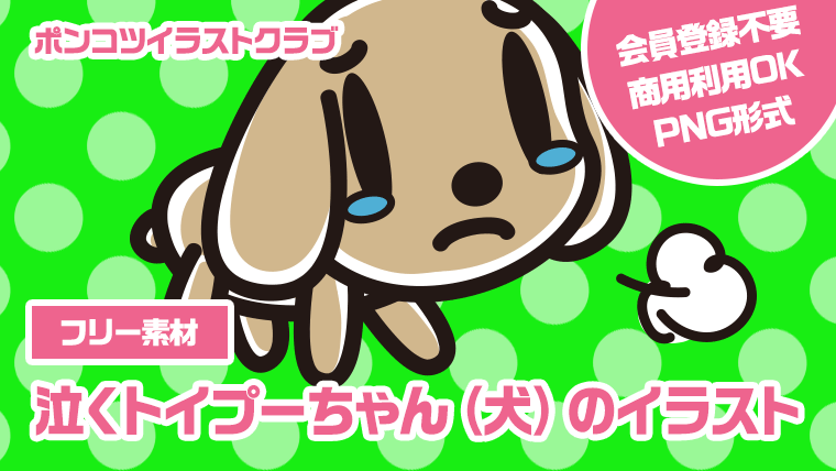 【フリー素材】泣くトイプーちゃん（犬）のイラスト