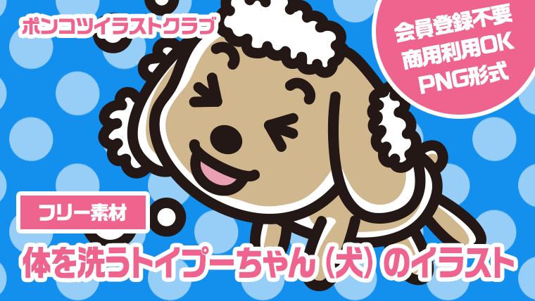 【フリー素材】体を洗うトイプーちゃん（犬）のイラスト