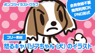 【フリー素材】怒るキャバリアちゃん（犬）のイラスト