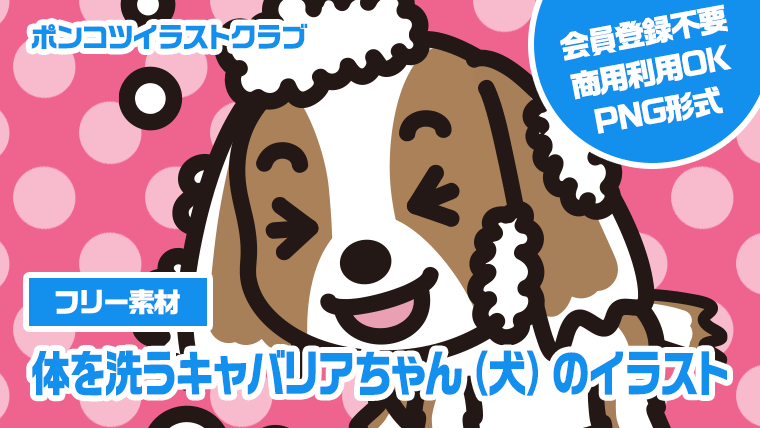 【フリー素材】体を洗うキャバリアちゃん（犬）のイラスト