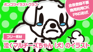 【フリー素材】泣くマルチーズちゃん（犬）のイラスト