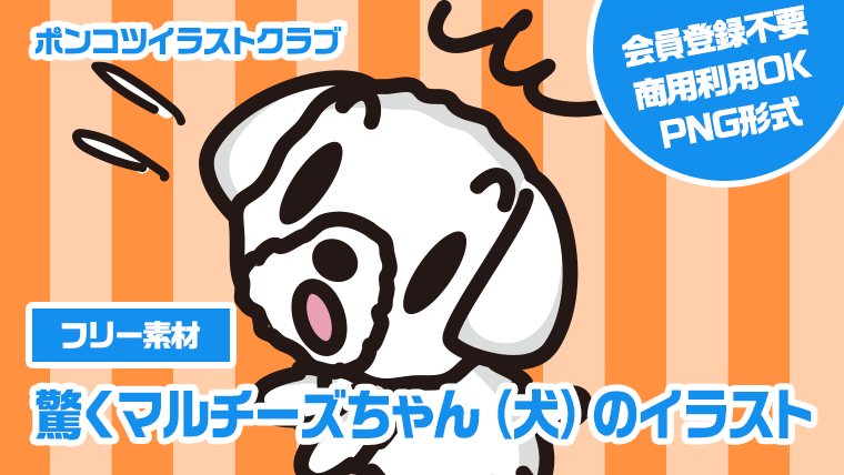 【フリー素材】驚くマルチーズちゃん（犬）のイラスト