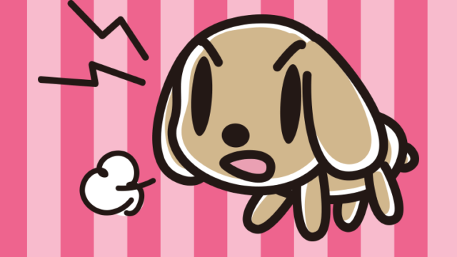 吠えるトイプーちゃんのイラスト【色、背景あり】PNG