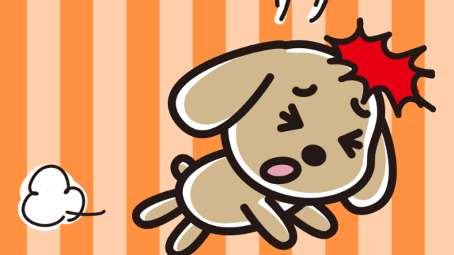 ぶつかるトイプーちゃんのイラスト【色、背景あり】PNG