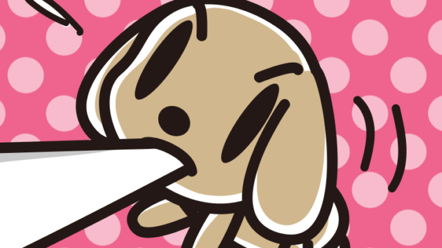 くわえて引っ張るトイプーちゃんのイラスト【色、背景あり】PNG