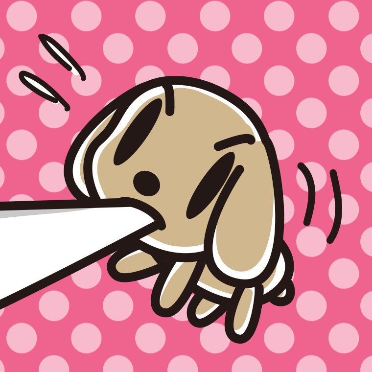 くわえて引っ張るトイプーちゃん（犬）のイラスト【色、背景あり】PNG