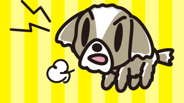 吠えるシーズーちゃん（犬）のイラスト【色、背景あり】PNG