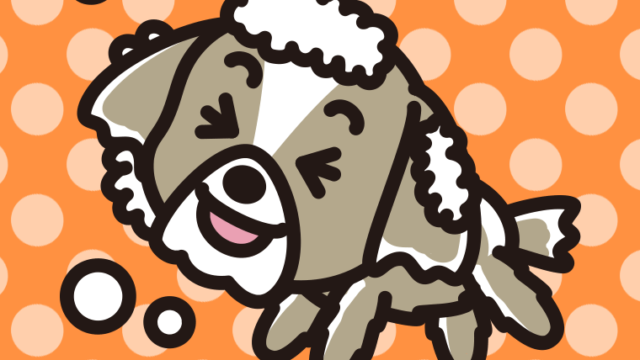 体を洗うシーズーちゃん（犬）のイラスト【色、背景あり】PNG