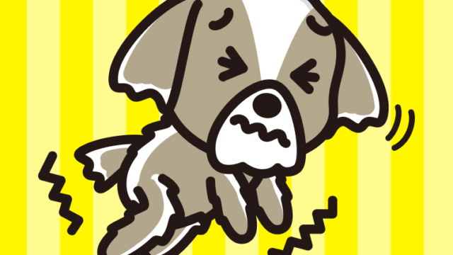 ブルブル震えるシーズーちゃん（犬）のイラスト【色、背景あり】PNG