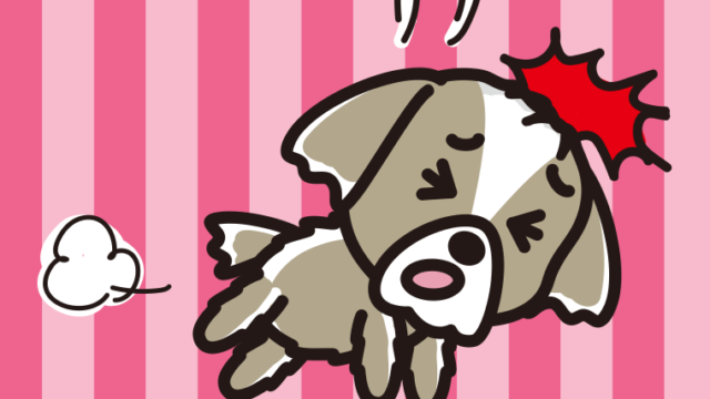 ぶつかるシーズーちゃん（犬）のイラスト【色、背景あり】PNG