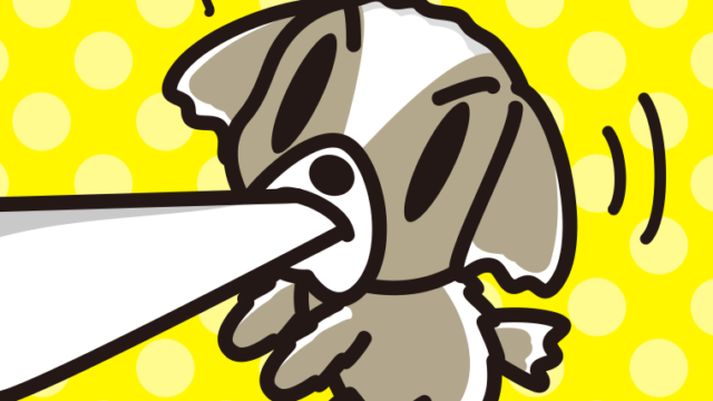 くわえて引っ張るシーズーちゃん（犬）のイラスト【色、背景あり】PNG