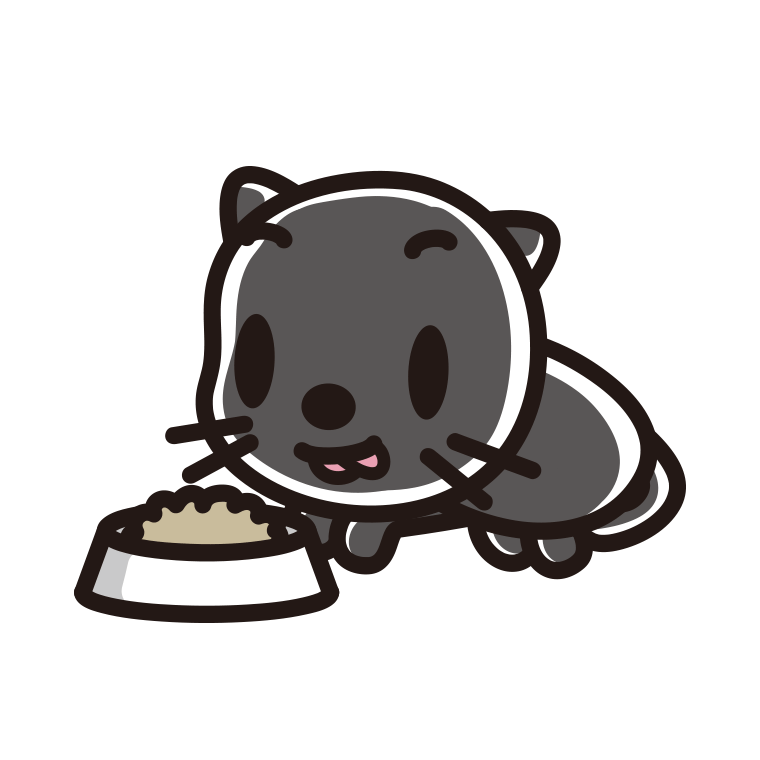 ごはんを食べる黒猫ちゃんのイラスト【色あり、背景なし】透過PNG