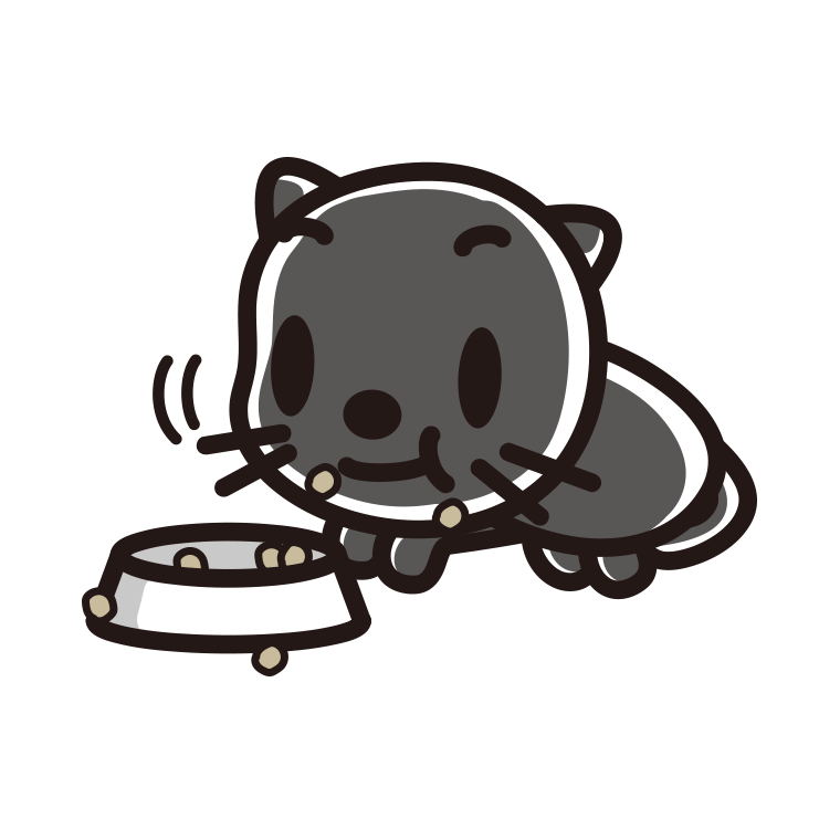 ごはんをモリモリ食べる黒猫ちゃんのイラスト【色あり、背景なし】透過PNG