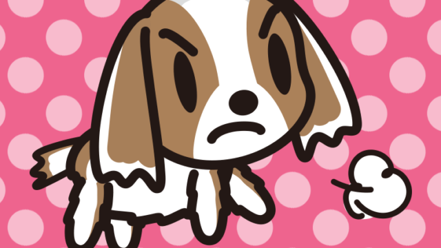 怒るキャバリアちゃん（犬）のイラスト【色、背景あり】PNG