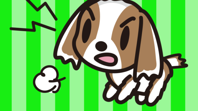 吠えるキャバリアちゃん（犬）のイラスト【色、背景あり】PNG