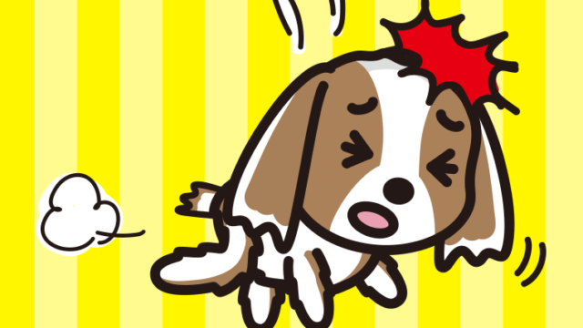 ぶつかるキャバリアちゃん（犬）のイラスト【色、背景あり】PNG