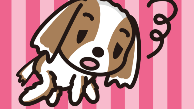 眠そうなキャバリアちゃん（犬）のイラスト【色、背景あり】PNG