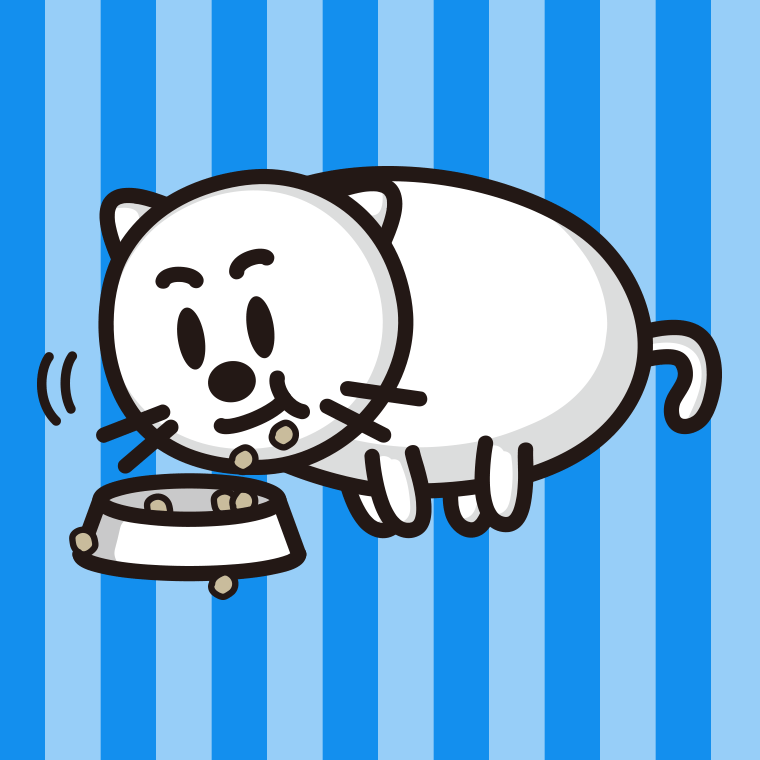 ごはんをモリモリ食べる太ったネコちゃんのイラスト【色、背景あり】PNG