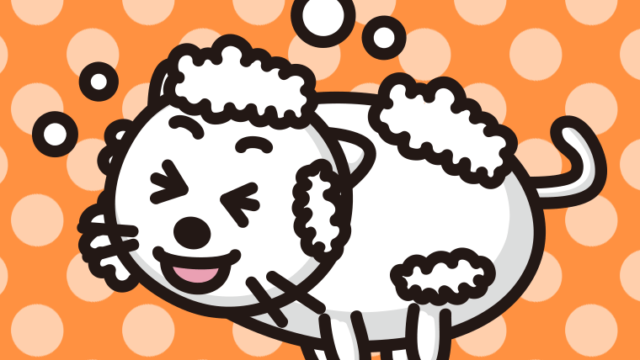 体を洗う太ったネコちゃんのイラスト【色、背景あり】PNG