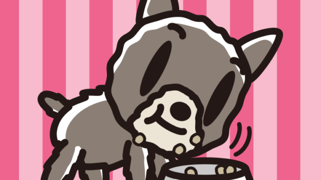 ごはんをモリモリ食べるヨーキーちゃん（犬）のイラスト【色、背景あり】PNG