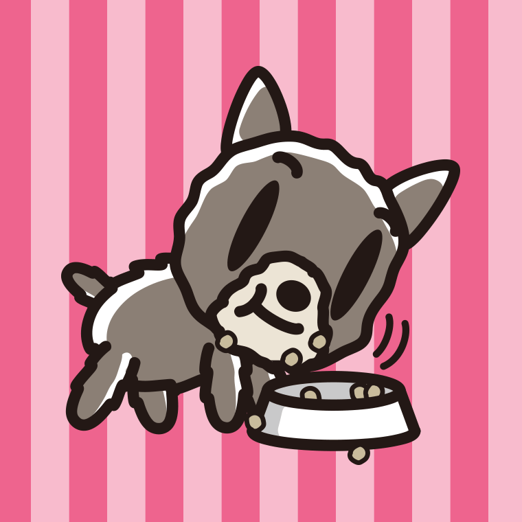 ごはんをモリモリ食べるヨーキーちゃん（犬）のイラスト【色、背景あり】PNG