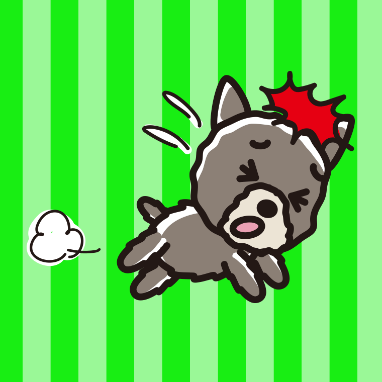 ぶつかるヨーキーちゃん（犬）のイラスト【色、背景あり】PNG