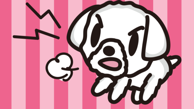 吠えるマルチーズちゃん（犬）のイラスト【色、背景あり】PNG