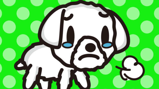 泣くマルチーズちゃん（犬）のイラスト【色、背景あり】PNG