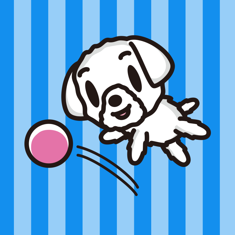 ボールを追うマルチーズちゃん（犬）のイラスト【色、背景あり】PNG