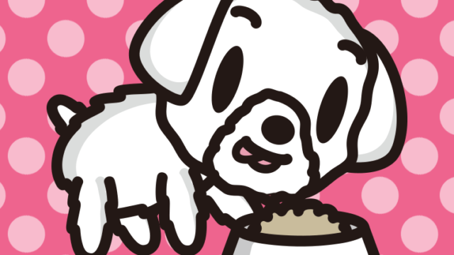 ごはんを食べるマルチーズちゃん（犬）のイラスト【色、背景あり】PNG
