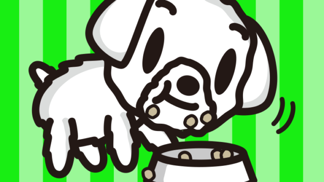 ごはんをモリモリ食べるマルチーズちゃん（犬）のイラスト【色、背景あり】PNG