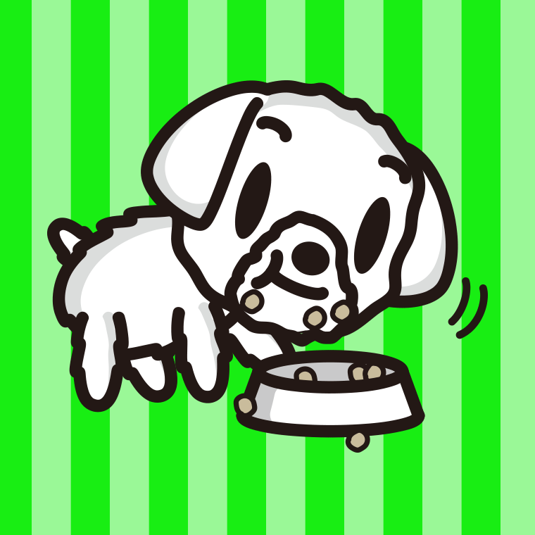 ごはんをモリモリ食べるマルチーズちゃん（犬）のイラスト【色、背景あり】PNG