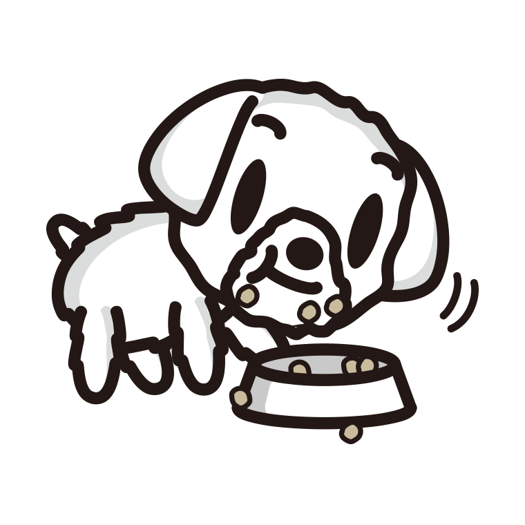 ごはんをモリモリ食べるマルチーズちゃん（犬）のイラスト【色あり、背景なし】透過PNG