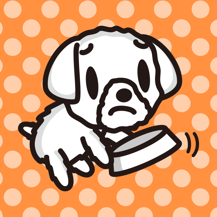 ごはんをもっと食べたいマルチーズちゃん（犬）のイラスト【色、背景あり】PNG