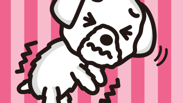 ブルブル震えるマルチーズちゃん（犬）のイラスト【色、背景あり】PNG