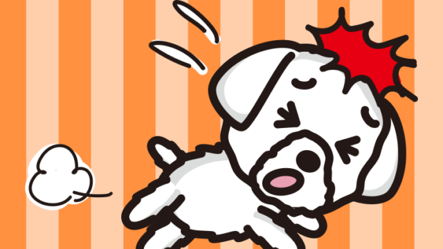 ぶつかるマルチーズちゃん（犬）のイラスト【色、背景あり】PNG