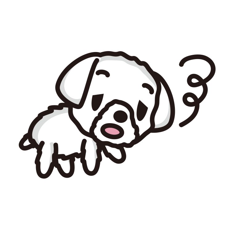 眠そうなマルチーズちゃん（犬）のイラスト【色、背景あり】PNG