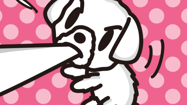 くわえて引っ張るマルチーズちゃん（犬）のイラスト【色、背景あり】PNG