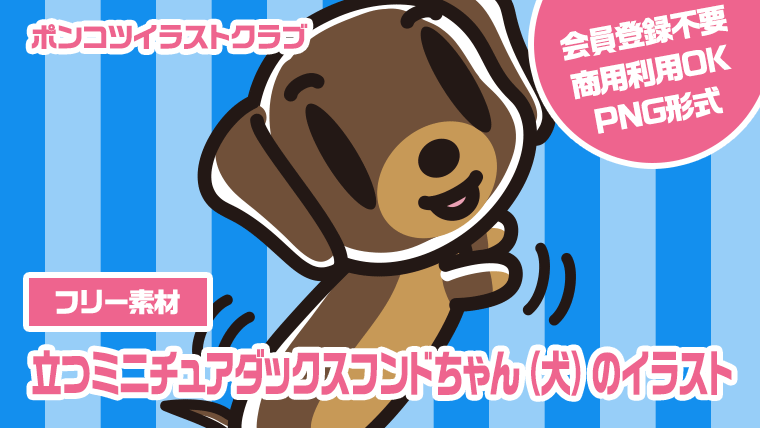 【フリー素材】立つミニチュアダックスフンドちゃん（犬）のイラスト