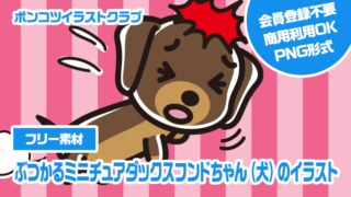 【フリー素材】ぶつかるミニチュアダックスフンドちゃん（犬）のイラスト